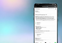 vivoy13l自己刷机步骤是怎样的？