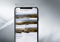西瓜视频实名认证教程，具体步骤与注意事项有哪些？