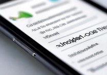 vivo手机如何将第三方主题设为默认主题？