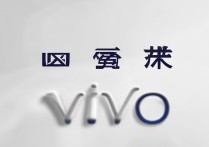 步步高和 vivo