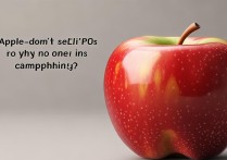 苹果不卖cpu怎么没人喷