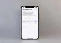 苹果xs接通电话时震动怎么设置