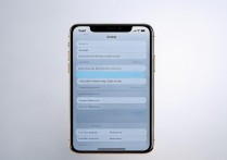 苹果手机如何设置唱吧使用4G网络唱歌？