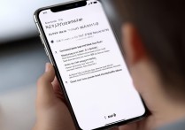 vivo手机怎么恢复电话号码