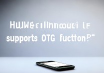 华为手机支持 otg 功能吗