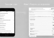 苹果6手机怎么设置铃声？详细教程步骤是什么？