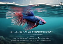 斗鱼直播账号怎么快速升级？等级提升方法有哪些？