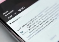 vivo手机信息怎么隐藏软件下载，vivo手机如何隐藏下载的应用