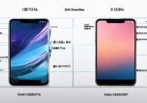 vivoy31a版和c版怎么看