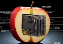 苹果电池循环怎么看，如何查看iPhone电池循环次数