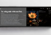 vivox27怎么拍摄慢动作，vivox27慢动作在哪里找
