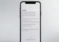 苹果 6 怎么启用 cookies？苹果手机如何开启浏览器 Cookie 设置？