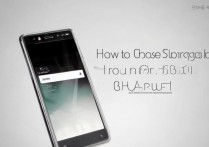 华为p10怎么选闪存，华为p10闪存类型是什么