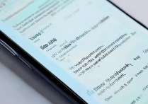 vivo手机怎么刷测试版本，vivo测试版系统怎么刷回来