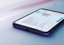 vivo手机系统怎么降级包？旧版本降级教程及风险提示