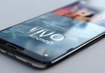 vivo 换外屏多少钱