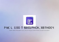 vivo手机如何锁定单个应用不被卸载或移动？