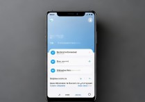 oppo 云服务登录网页是什么？