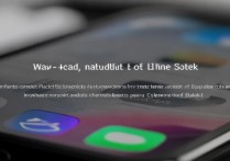 苹果手机没网怎么办？教你轻松连上移动网络！