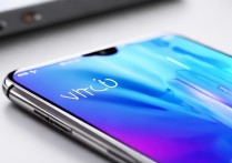 vivo zi