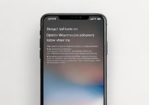苹果x续航怎么办