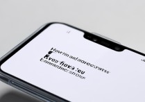 vivo手机摄像头权限打不开怎么办？