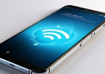 vivo手机连接wifi不能上网