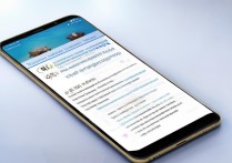 vivoy51怎么升级安卓系统