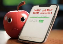 苹果突然发不了短信怎么回事，苹果手机短信发不出去是什么原因