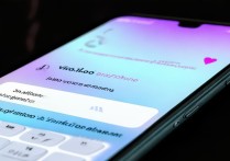 vivo 云服务怎么找手机？