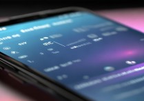 vivo手机音频怎么设置