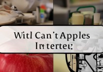 苹果打不进去怎么回事？苹果手机无法开机是什么原因