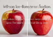 比利时版苹果与国行有啥区别？值得买吗？