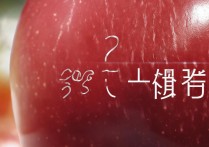 苹果总是2g网络怎么回事，手机显示2g网络怎么办