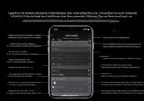 苹果手机怎么调震动加声音？设置方法步骤详解