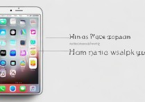 苹果6怎么设live壁纸？iPhone6设置动态壁纸教程步骤