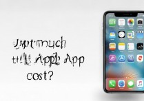 苹果App有多少钱怎么看？苹果应用余额查询方法