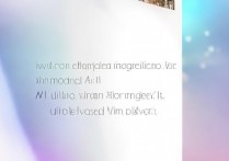 vivo助手怎么导入主题？vivo主题导入详细教程