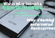 vivo进水黑屏怎么回事？手机进水黑屏还能修好吗
