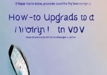 vivo怎么升级安卓5.1，vivo手机安卓5.1系统怎么升级