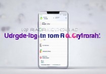 vivoy51怎么用手机固件升级手机？vivoy51固件升级教程