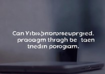 vivo手机可以以旧换新吗