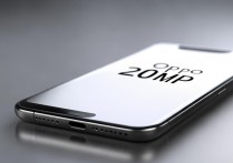 oppo2000 万是什么意思？