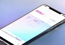 vivo 万能密码