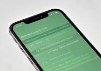 微信oppo怎么开语音