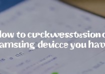 怎么查询三星什么版本