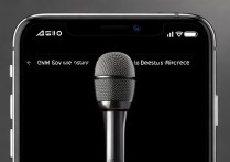 苹果6s麦克风怎么设置