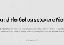 vivox9plus怎么分屏吗？详细操作步骤在这里！