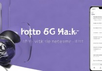 vivox6手机如何锁定4G网络不自动切换5G？