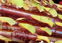 华为手机下软件密码忘了怎么办